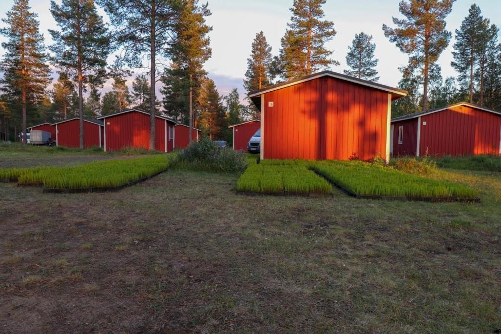 Pajala Cottages Route 99 Eksteriør bilde